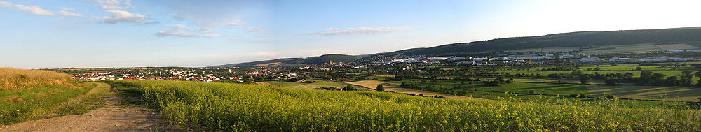 Blick auf Tauberbischofsheim vom Ronberg aus