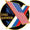 Expedition 10 insignia.png