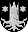 Wappen von Kemijärvi