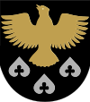 Wappen von Kiuruvesi