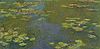 Le bassin aux nymphéas - Claude Monet.jpg