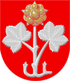 Wappen von Muurame