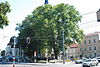 Naturdenkmal 122 GuentherZ 2011-08-25 0115 Wien13 Am Platz 2Platanen.JPG
