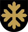 Wappen von Nilsiä