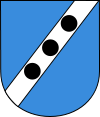 Wappen von Dzikowiec