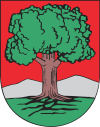 Wappen von Wałbrzych