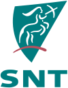 Logo der SNT Deutschland AG