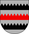 Wappen von Saarijärvi