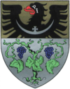 Wappen Landkreis Grünberg in Schlesien.PNG