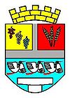 Wappen von Vinkovci