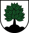 Wappen von Elbigenalp