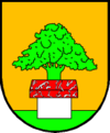 Wappen von Oberalm