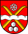 Wappen von Saalbach-Hinterglemm