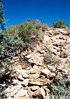Unexcavated mound at Yucca House National Monument