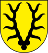 Wappen von Valzeina