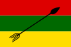 Flag of Neiva.svg