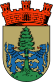 Wappen der Stadt Dannenberg (Elbe)