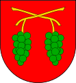 Wappen von Hroznová Lhota