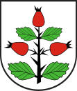 Wappen von Rzgów