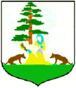 Wappen von Skulsk