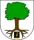 Wappen von Telecí