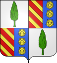 Wappen von Thueyts