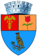 Wappen von Pitești
