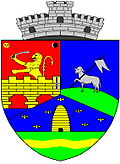 Wappen von Dudeştii Vechi