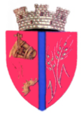 Wappen von Călan