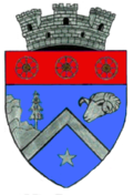 Wappen von Comarnic