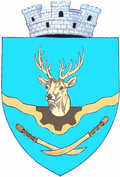 Wappen von Cugir