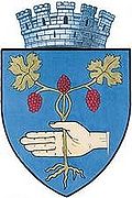 Wappen von Mediaș