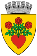 Wappen von Miercurea Ciuc