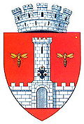 Wappen von Vaslui