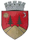 Wappen von Fălticeni