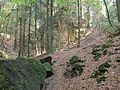 Hohnsberg alter steinbruch 16.jpg