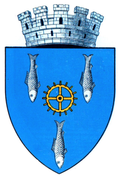 Wappen von Bârlad
