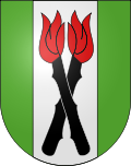 Wappen von Kienersrüti