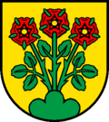 Wappen von Lostorf