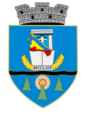 Wappen von Beiuș