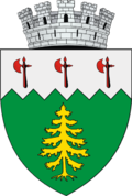 Wappen von Câmpulung Moldovenesc