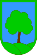 Wappen von Ravne na Koroškem