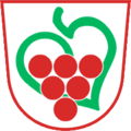 Wappen von Semič