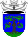 Wappen von Sevnica