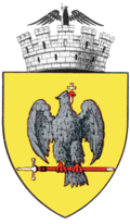 Wappen von Curtea de Argeş