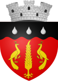 Wappen von Ștefănești (Botoșani)