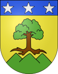 Wappen von Varen