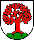 Wappen von Schönenbuch