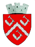 Wappen von Târgu Ocna