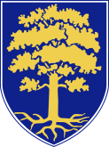 Wappen der Gemeinde Waldsolms